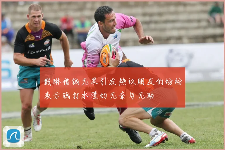 戴琳借钱无果引发热议朋友们纷纷表示钱打水漂的无奈与无助