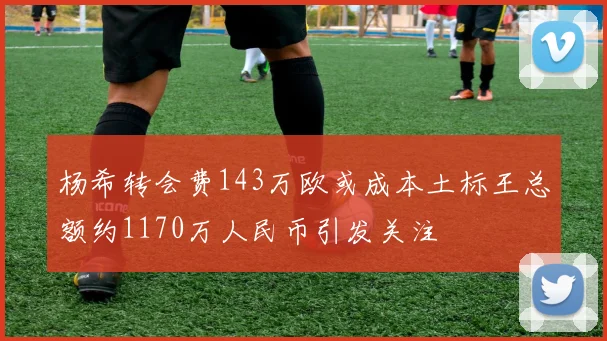 杨希转会费143万欧或成本土标王总额约1170万人民币引发关注