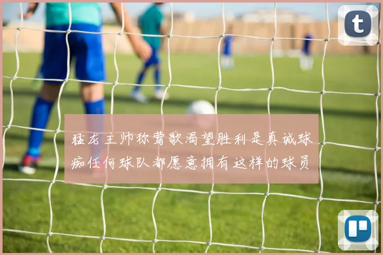 猛龙主帅称莺歌渴望胜利是真诚球痴任何球队都愿意拥有这样的球员