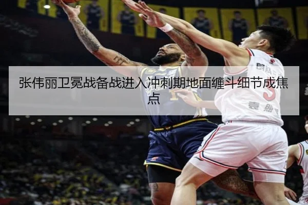 张伟丽卫冕战备战进入冲刺期地面缠斗细节成焦点 - EMCSPORTS